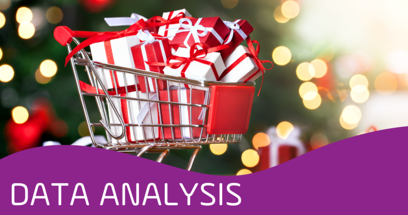 Setlog Data Analysis for Holiday Business Christmas 2024